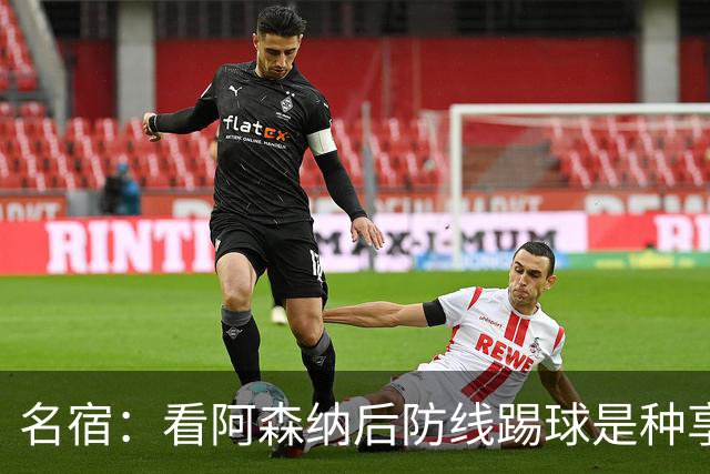 名宿：看阿森纳后防线踢球是种享受
