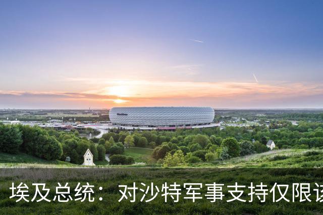 埃及总统：对沙特军事支持仅限该国领土