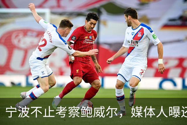 宁波不止考察鲍威尔，媒体人曝还在考察广厦旧将沃顿