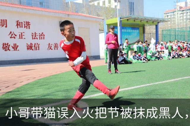 小哥带猫误入火把节被抹成黑人，为复仇连去2年，结果…咪一脸命苦：他们都拿我擦手