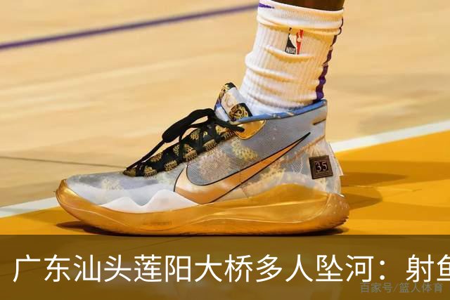 广东汕头莲阳大桥多人坠河：射鱼群翻护栏踩断管道，伤亡待确认！