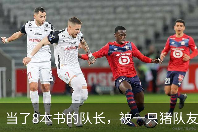 当了8本书的队长，被一只猪队友挤下台？新队长竟是女神