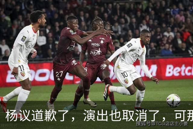 杨议道歉了，演出也取消了，可那句“误会”什么都没解决。