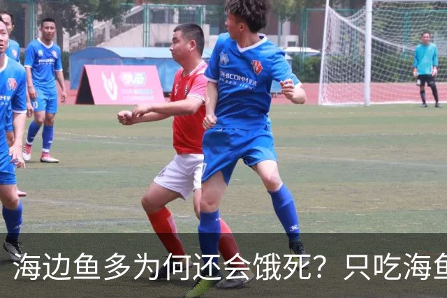 海边鱼多为何还会饿死？只吃海鱼一周就出问题
