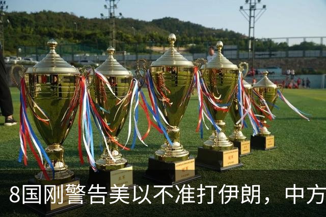 8国刚警告美以不准打伊朗，中方在联大重申：2231号决议已废