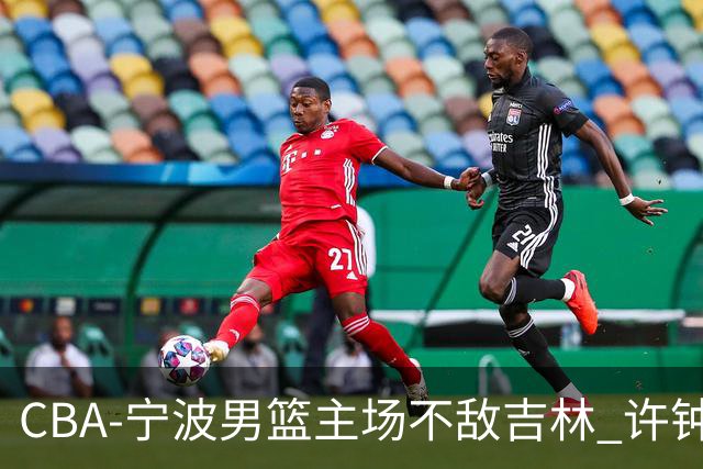 CBA-宁波男篮主场不敌吉林 许钟豪场边指挥