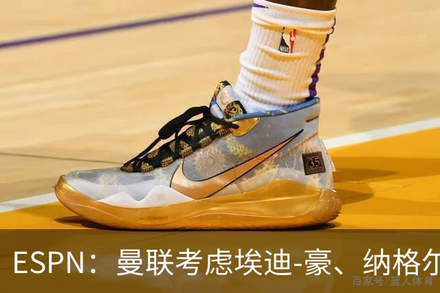 ESPN：曼联考虑埃迪-豪、纳格尔斯曼接替卡里克